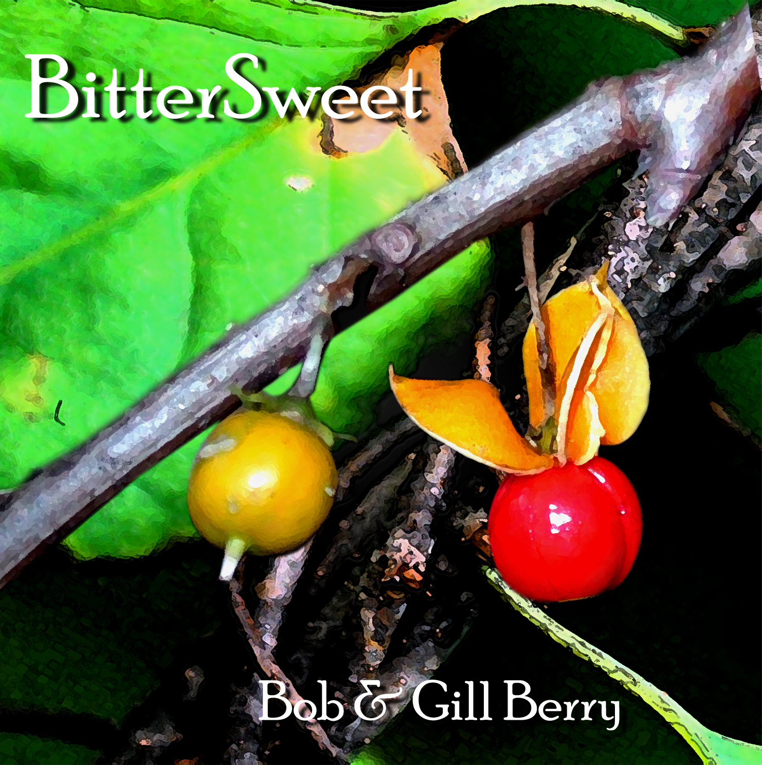 Booklet pp 1 copy.jpg